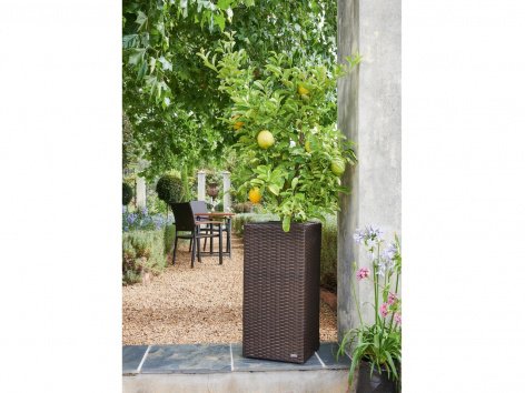 Vaso decorativo per piante, rettangolare o conico