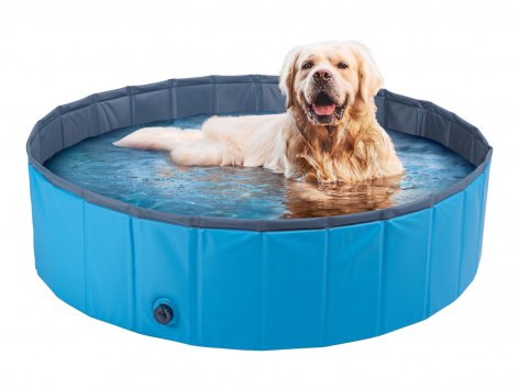 Piscina per cani
