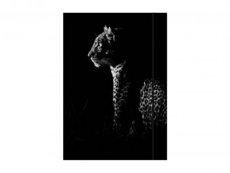 Cartelline con elastico