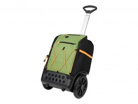 Trolley per la scuola