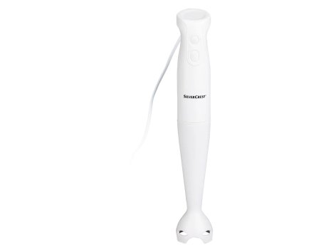 Frullatore ad immersione