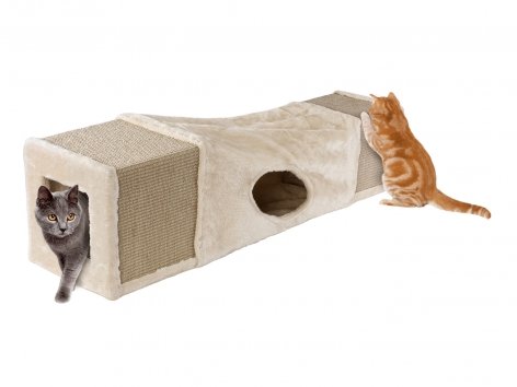 Tunnel per gatti