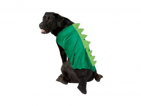 Costume per cani