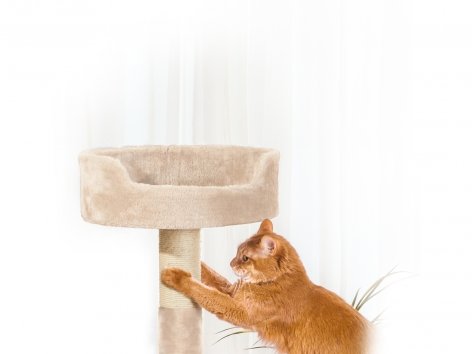 Tiragraffi a torre per gatti