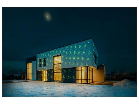 Proiettore laser di effetti natalizi