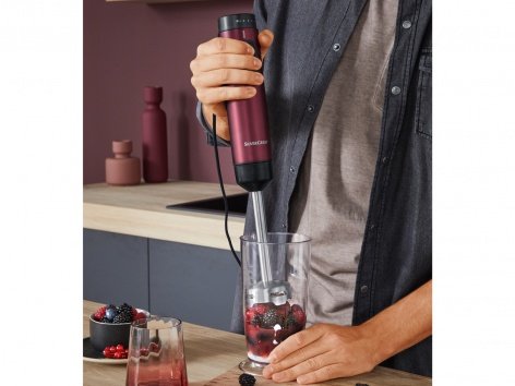 Frullatore ad immersione Design