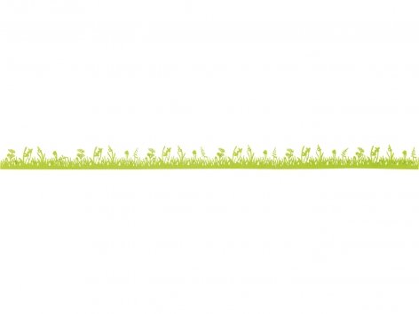 Decorazioni primaverili in feltro