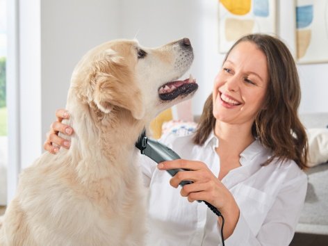 Set per la toelettatura di animali domestici