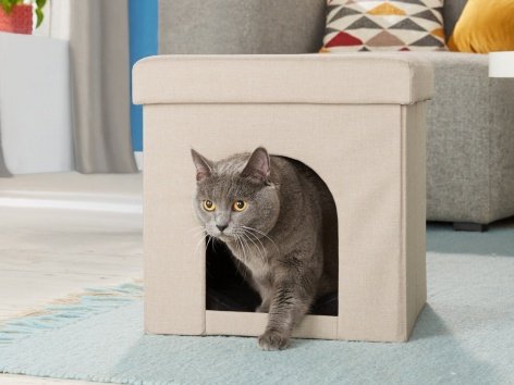 Pouf con cuccia per gatti