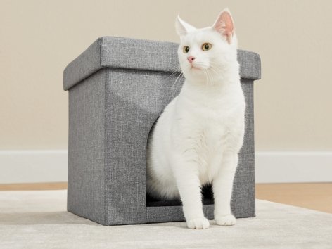 Pouf con cuccia per gatti