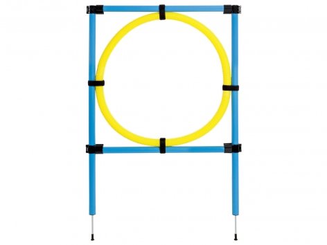 Attrezzi per agility