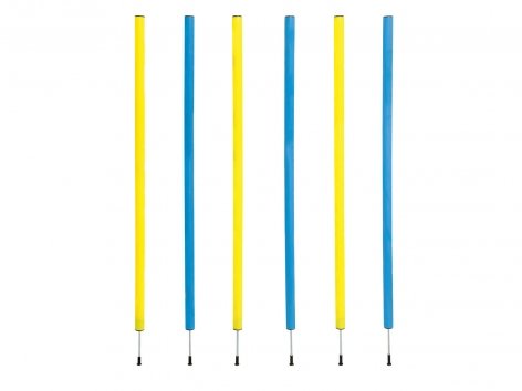 Attrezzi per agility