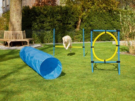 Attrezzi per agility