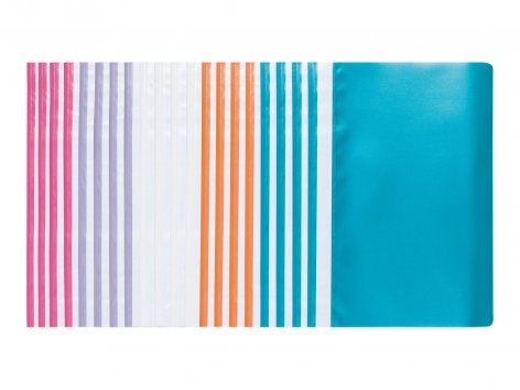 Cartelline con fermaglio, 20 pezzi