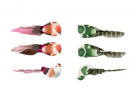 Decorazioni con clip