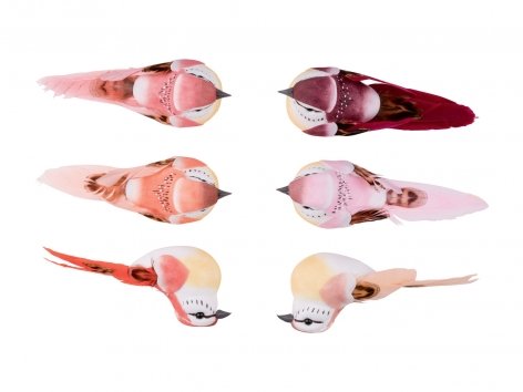 Decorazioni con clip