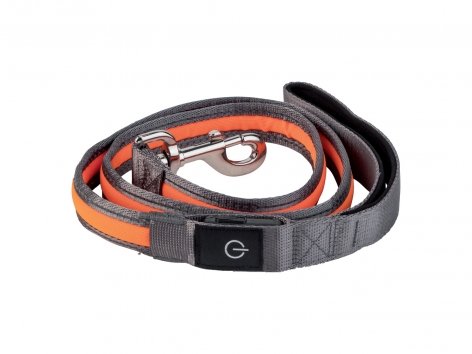 Guinzaglio o pettorina a LED per cani
