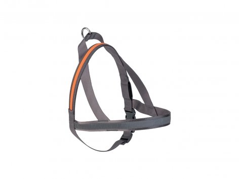 Guinzaglio o pettorina a LED per cani