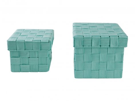 Box portaoggetti con coperchio