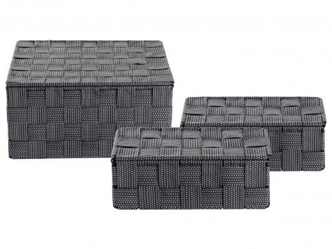 Box portaoggetti con coperchio