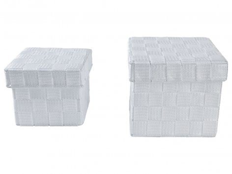 Box portaoggetti con coperchio