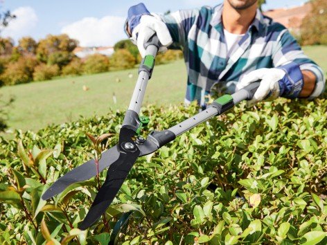 Tagliasiepi telescopico