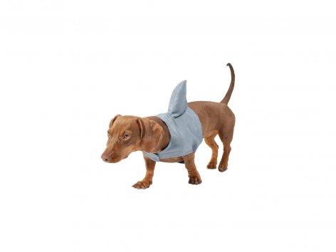 Costume per cani