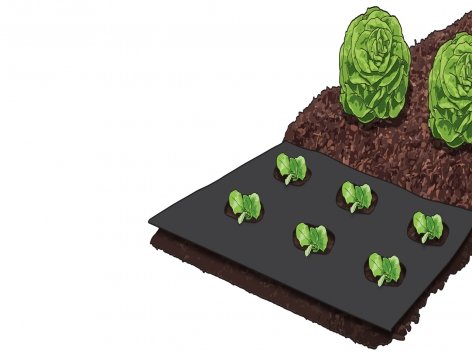 Telo pacciamante o da giardino