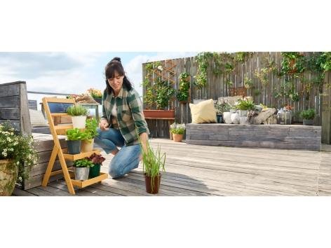 Scaffale in legno per fiori e piante