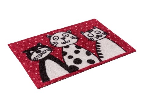 Tappeto catturasporco