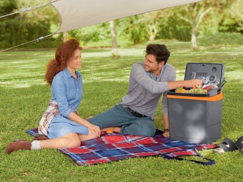 Frigo elettrico portatile