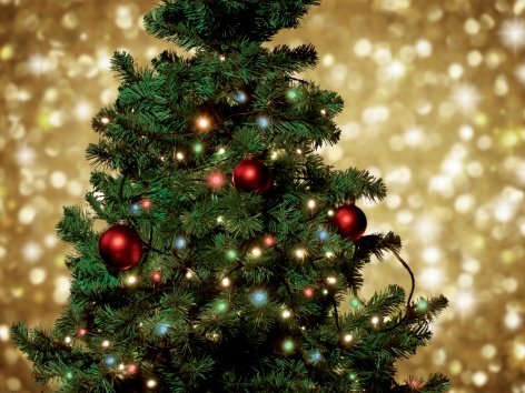 Catena luminosa 50 LED