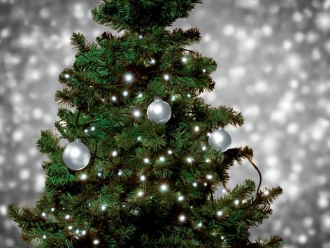 Catena luminosa 50 LED