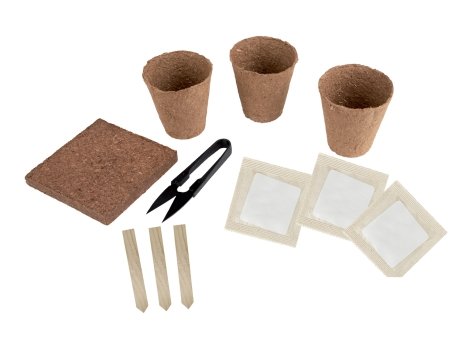 Set per coltivazione Bonsai