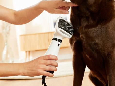 Spazzola ad aria calda per il pelo degli animali