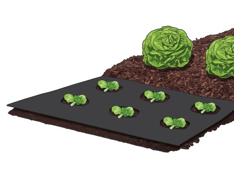 Telo pacciamatura o da giardino