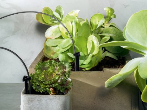 Sistema di irrigazione per vacanza