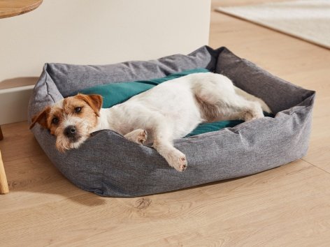 Cuccia o poltrona pensile per animali