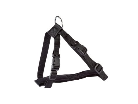 Pettorina con guinzaglio da auto per cani