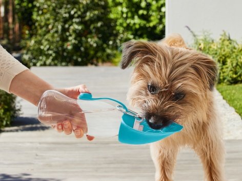 Borraccia o ciotola pieghevole per cani