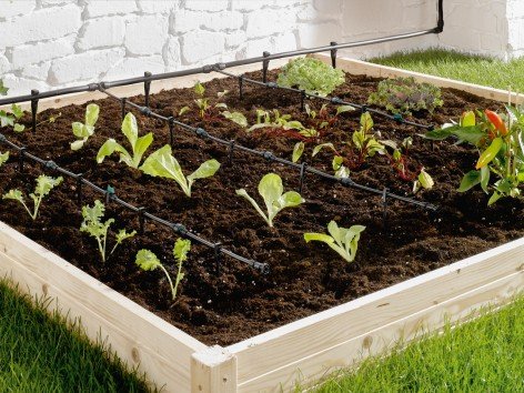 Set irrigazione a goccia