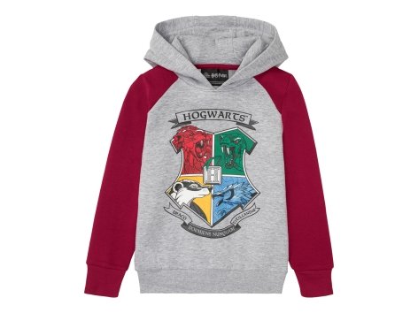 Felpa da bambino "Harry Potter"