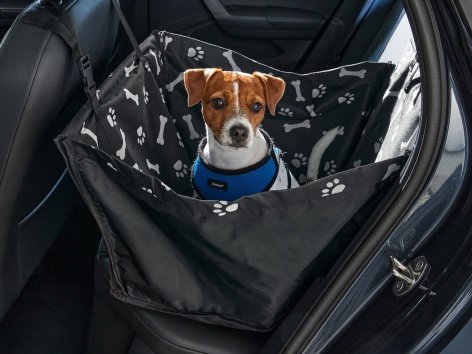 Telo per sedile auto o tappetino refrigerante per animali