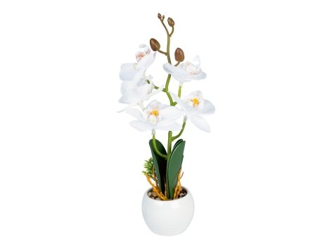 Pianta artificiale decorativa