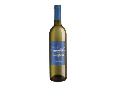 Falanghina Benevento IGP
