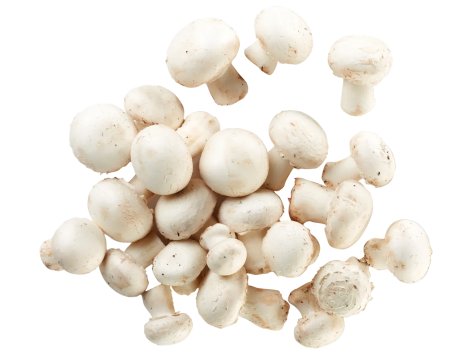 Champignon