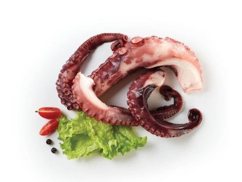 Tentacoli di polpo