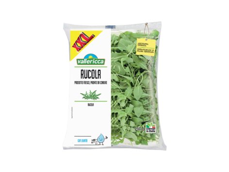 Rucola