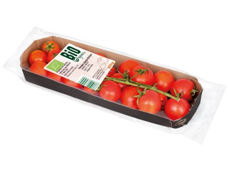 Pomodoro Ciliegino Bio