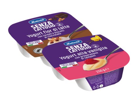 Yogurt intero senza lattosio